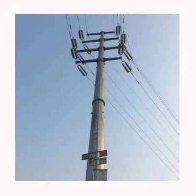 20241010110211 20241010110211
