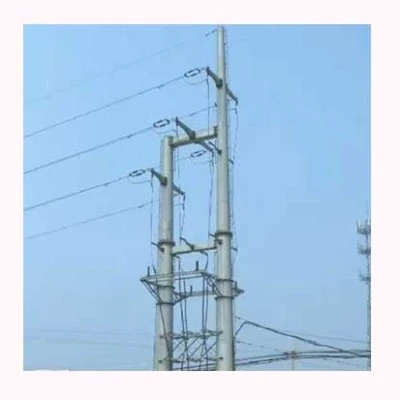 20241010110244 20241010110244